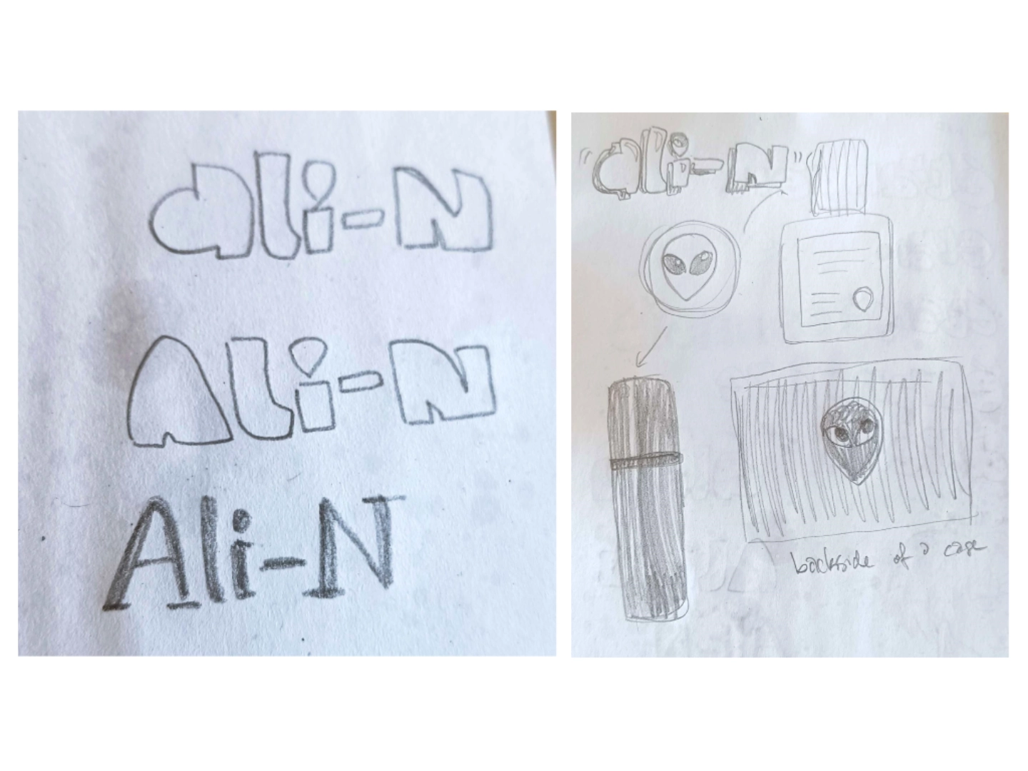 Konzeptskizzen. Gezeigt sind die letze Skizzen der Logos bzw. ali-N in verschiede schriftarten und die Logos auf Verpackung.